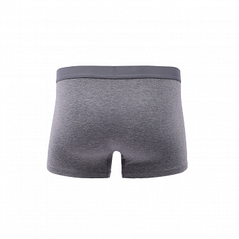 AUAV003-3 Нижнее белье Underwear серый